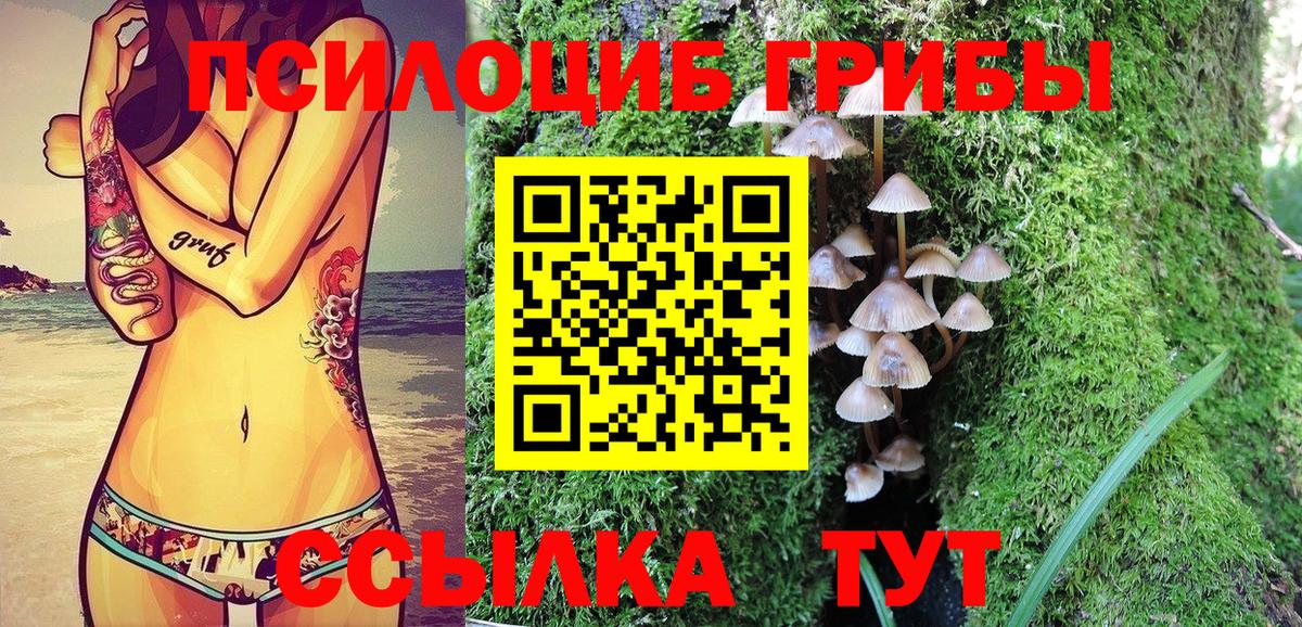 Псилоцибиновые грибы мицелий  продажа наркотиков  Людиново  Галлюциногенные грибы мухоморы  Вход с VPN 