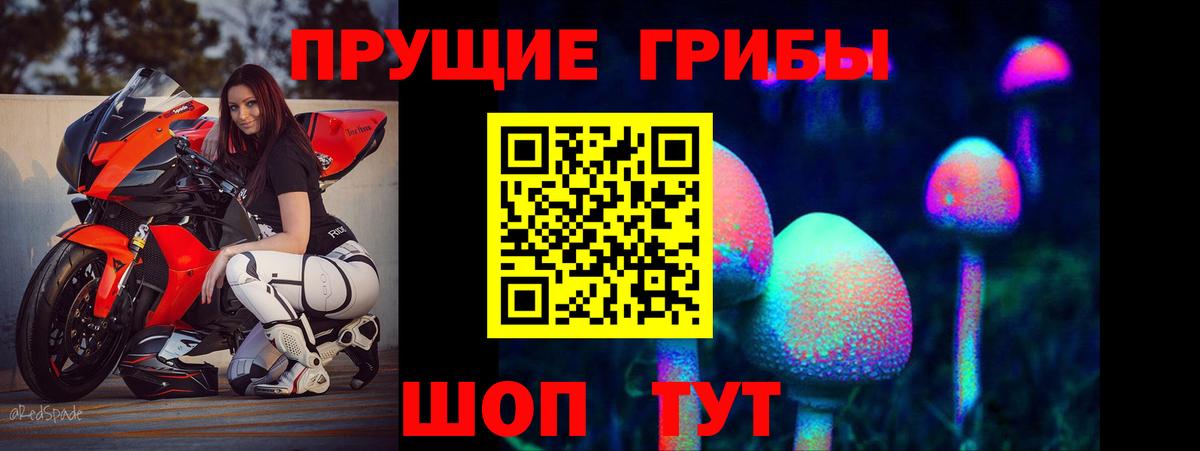 Псилоцибиновые грибы Psilocybine cubensis Людиново